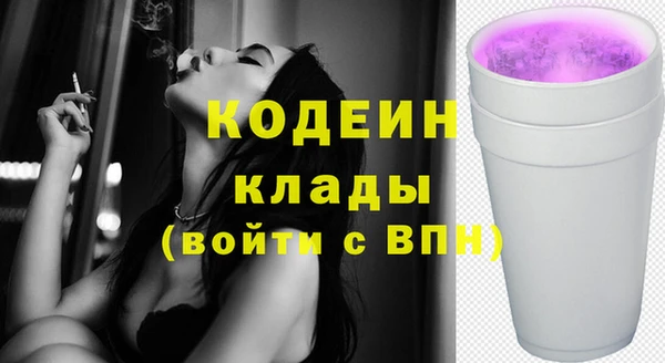 гашик Нея