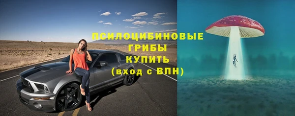дживик Нефтекумск