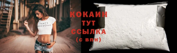 гашик Нея
