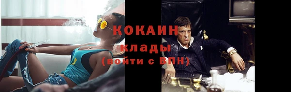 гашик Нея