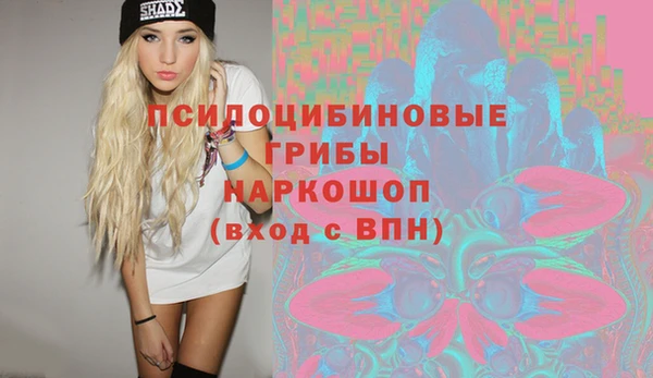 гашик Нея