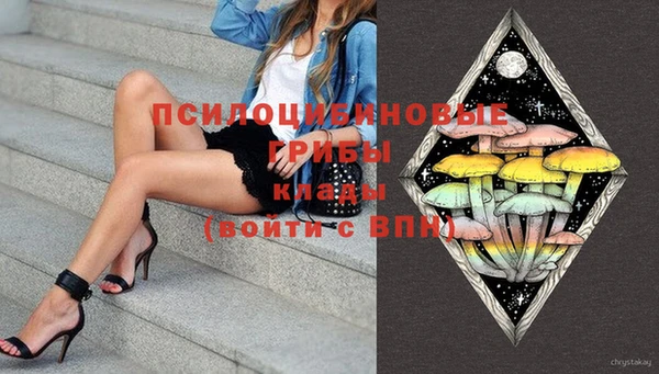 дживик Нефтекумск